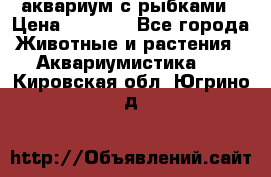 аквариум с рыбками › Цена ­ 1 000 - Все города Животные и растения » Аквариумистика   . Кировская обл.,Югрино д.